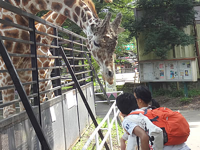 宇都宮動物園