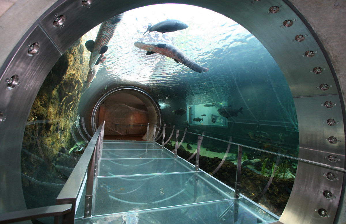 栃木県なかがわ水遊園