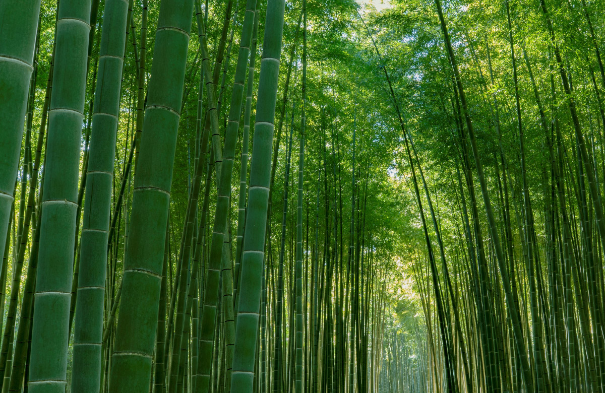 若山農場