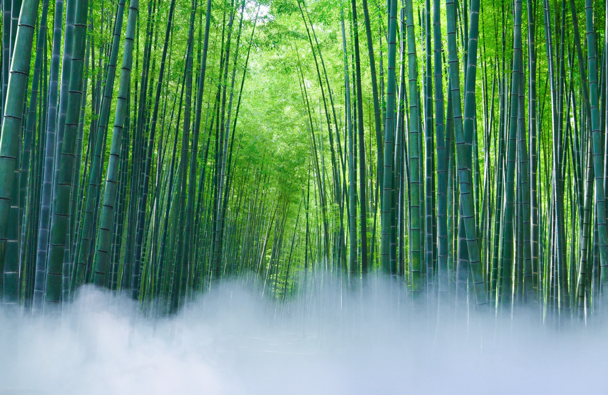 若山農場