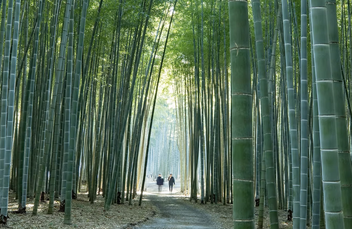 若山農場