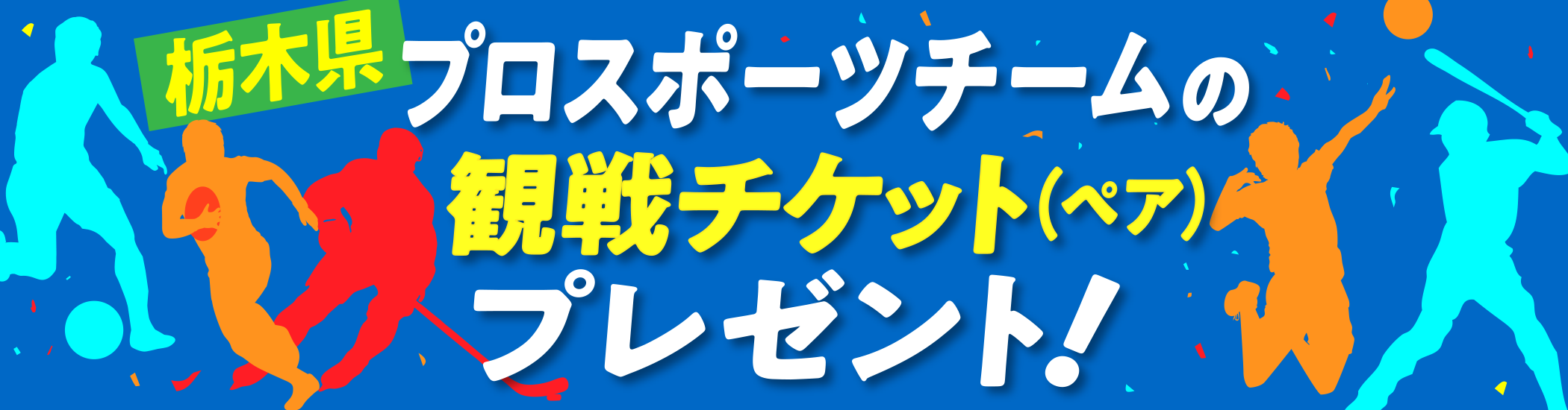 栃木県プロスポーツチームの観戦チケット（ペア）プレゼント！